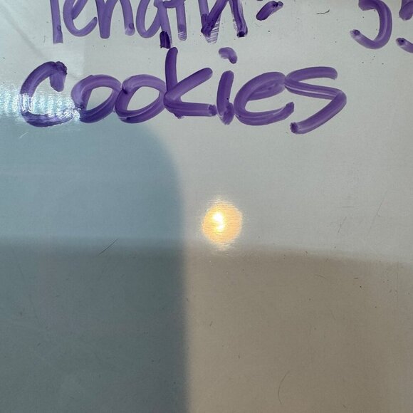 Pillow fort Sham forest Friends pillow sham rabbit bird squirrel teal  single pi - Picture 9 of 9